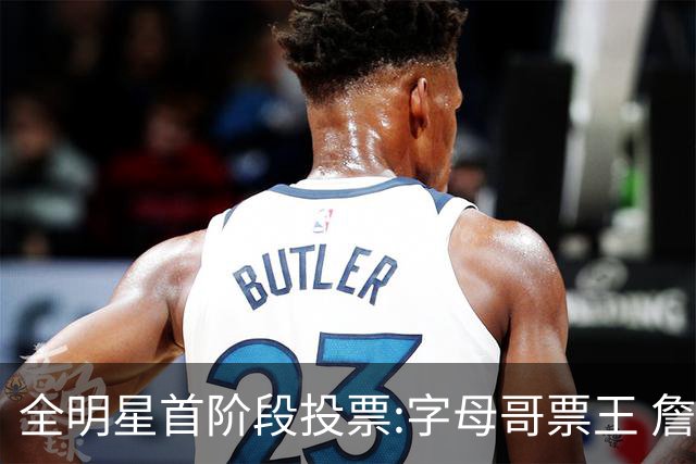 全明星首阶段投票:字母哥票王 詹姆斯西部票王